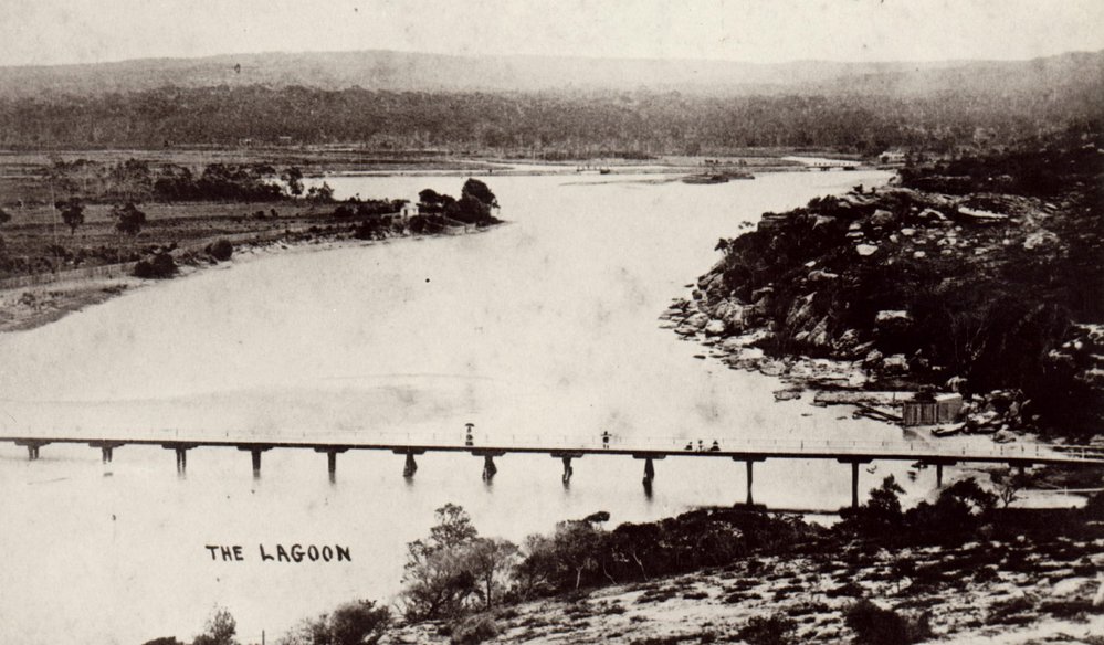View of bridge over Manly Lagoon