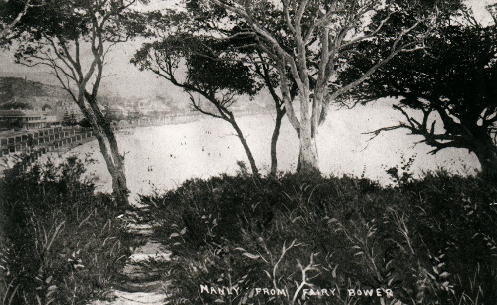 Manly Beach from Fairy Bower showing pine tree plantings