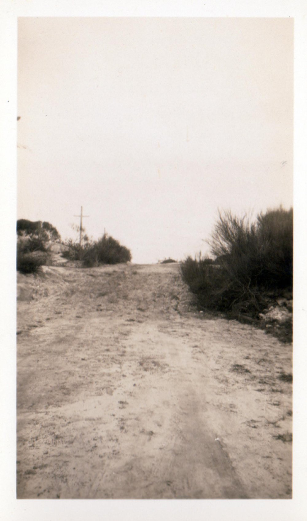 Gertrude Street, Balgowlah Heights