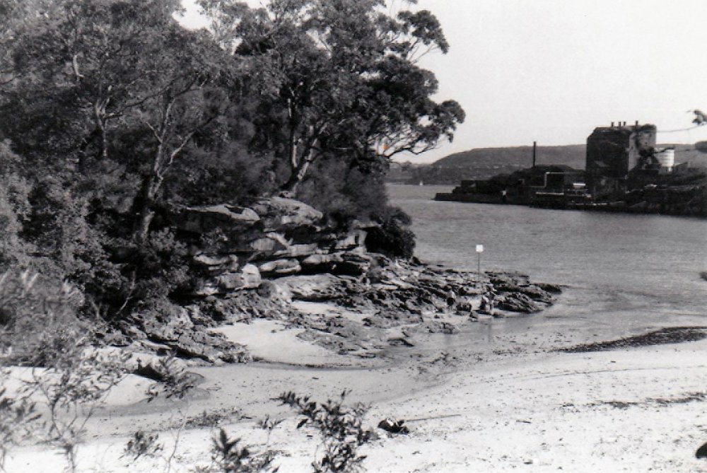 View of Manly Gasworks from Collins Flat Beach, 1967