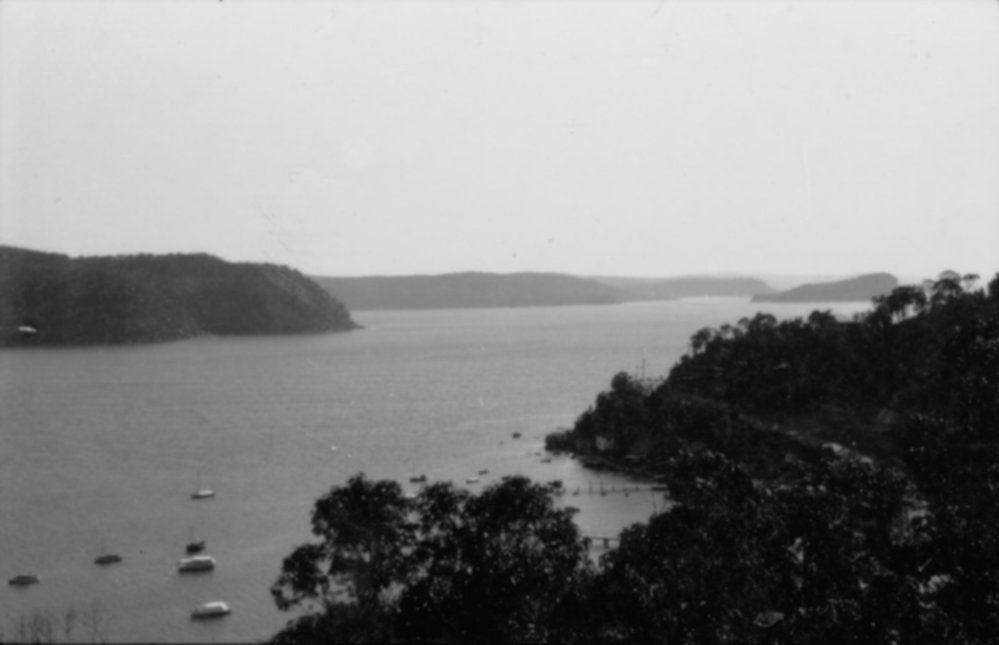 Palm Beach and Pittwater