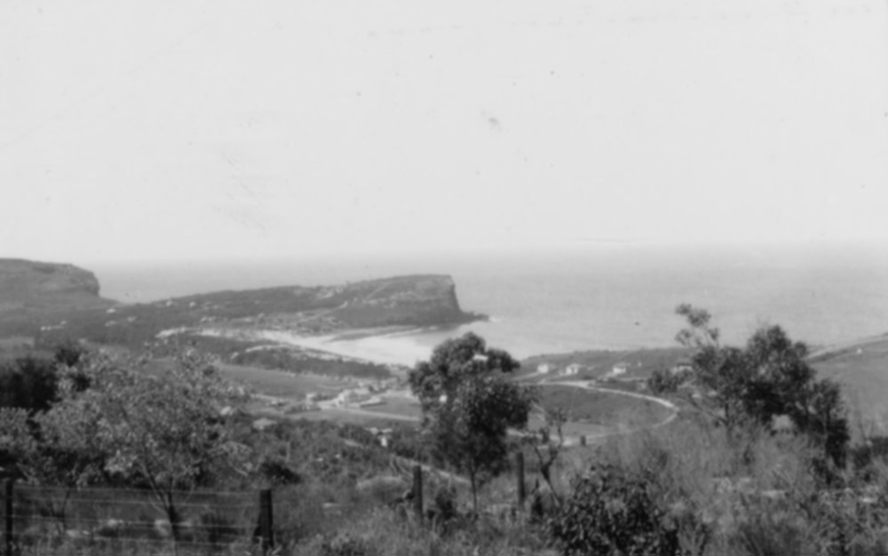 Avalon Beach and Avalon headland