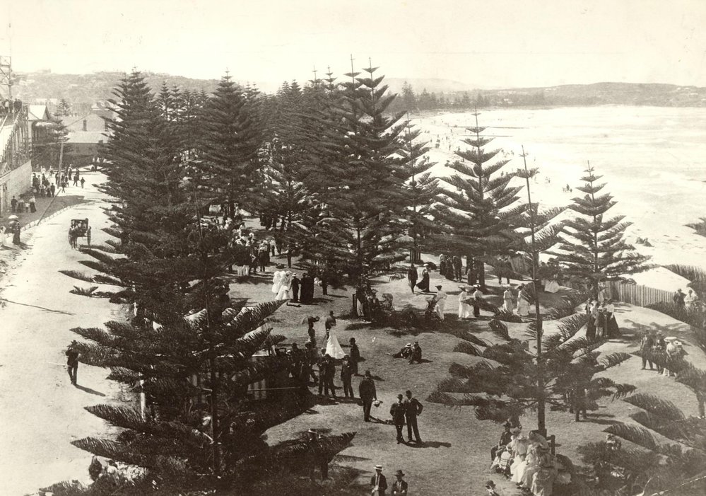 South Steyne Promenade, pines and part of water chute, c 1905
