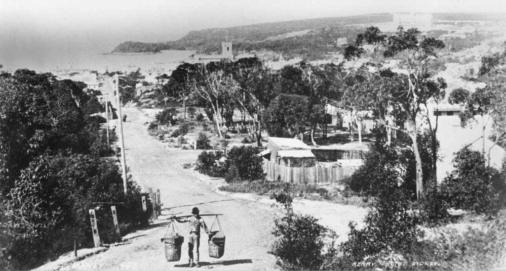 Easterly view down Sydney Road, Manly, c 1890s