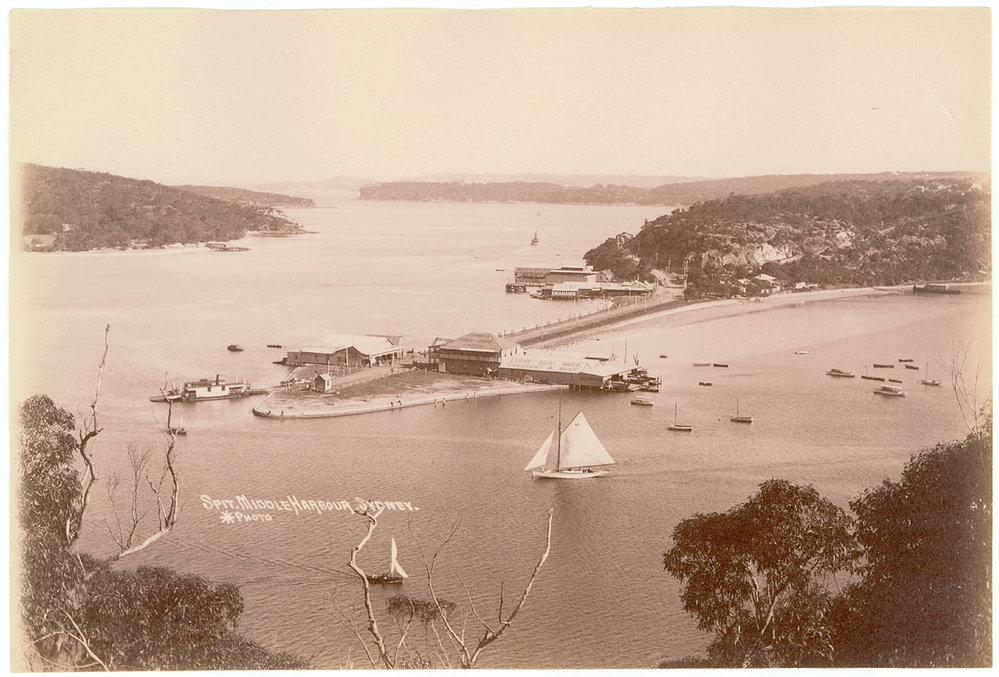 The Spit from Seaforth