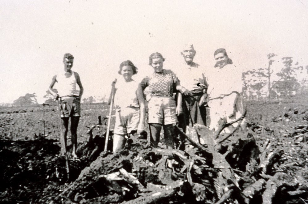 Cunico family farming, Dee Why