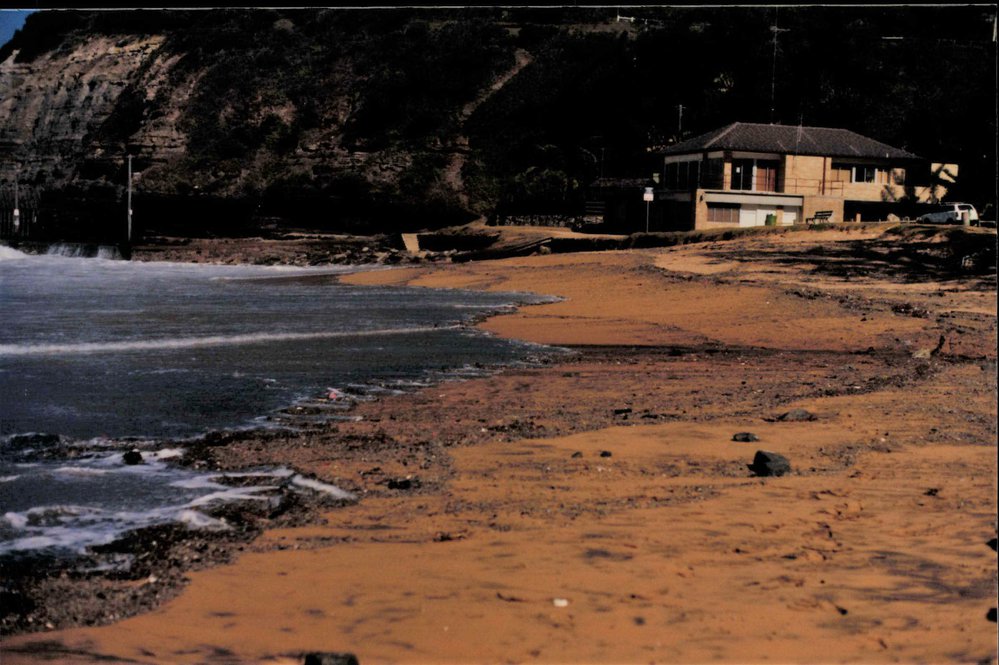 Bilgola Beach and surf club