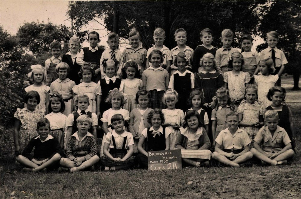 Brookvale Public School