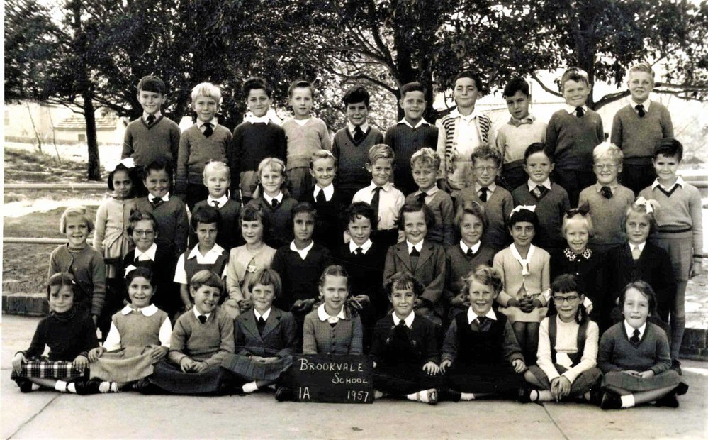 Brookvale Public School