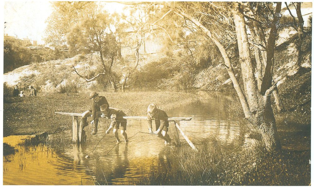 Three Walters boys at Freshwater Creek