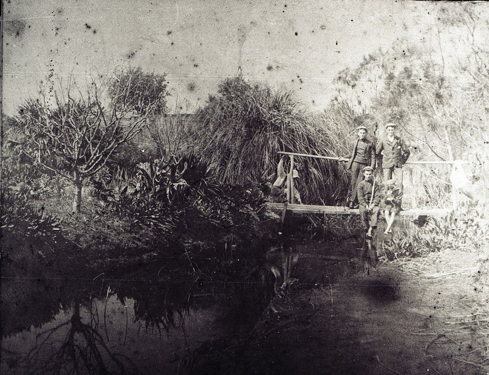 Holloway Boys, Freshwater Creek, Harbord