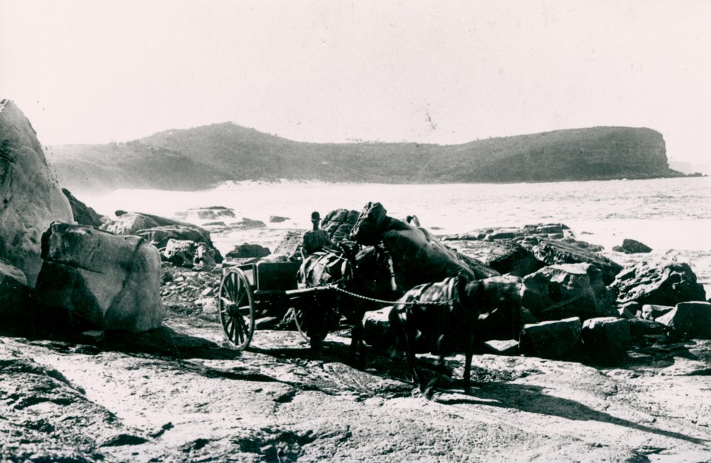 Horse-Drawn Cart near Bungan Head