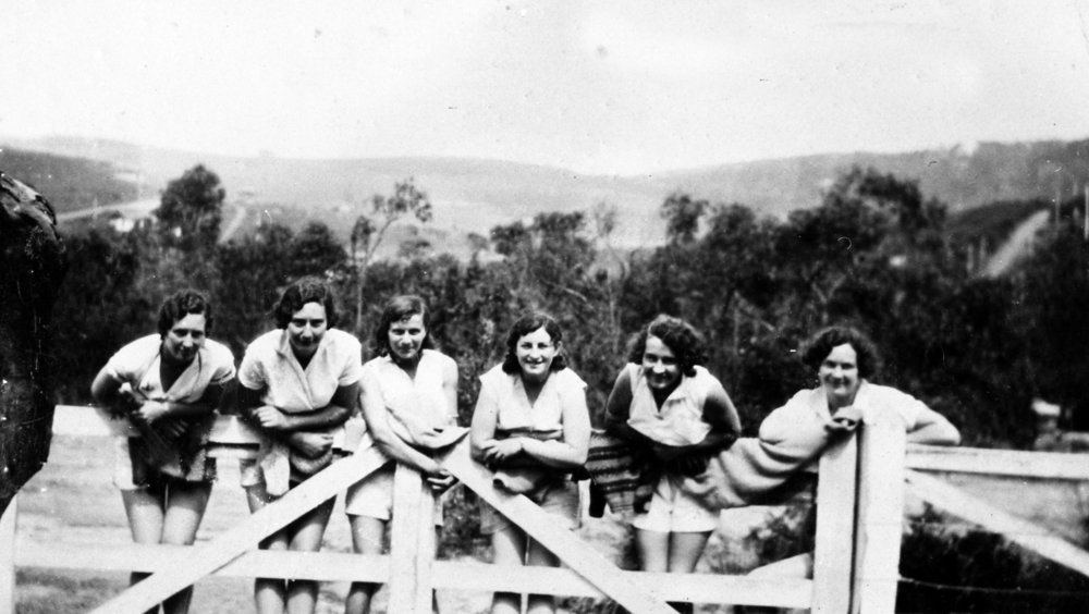 Bushwalking at Clareville