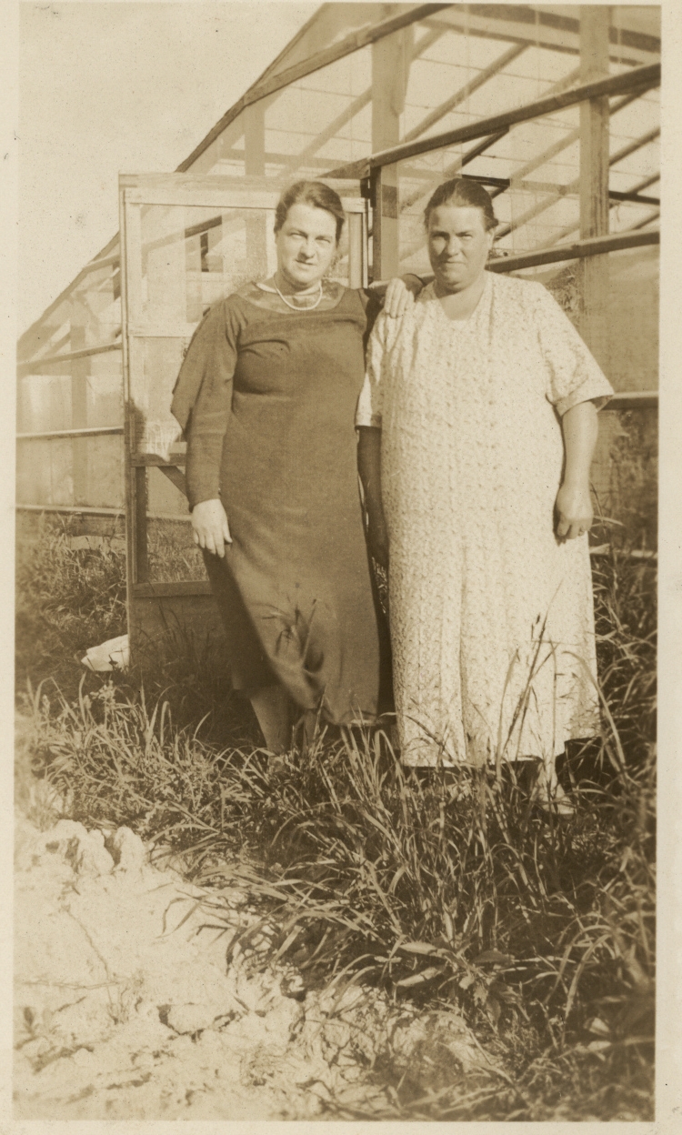 Glasshouses at 9 Ryrie Avenue, Cromer