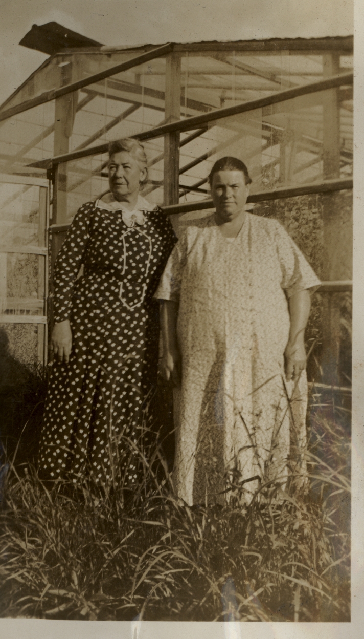 Glasshouses at 9 Ryrie Avenue, Cromer