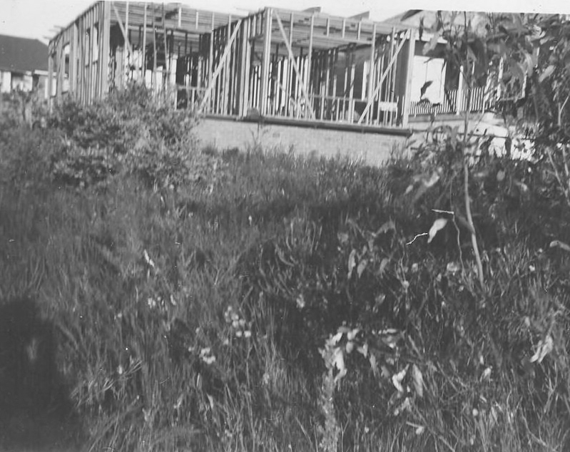 Building 123 Veterans Parade Collaroy Plateau