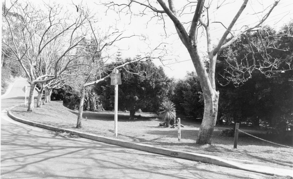 Street view, in Avalon