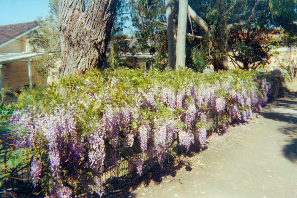 Killarney Lodge, Melwood Avenue, Killarney Heights