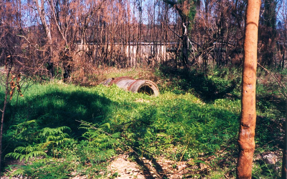Remains of the Never Been Beaten Lime and Cement Works, Narrabeen