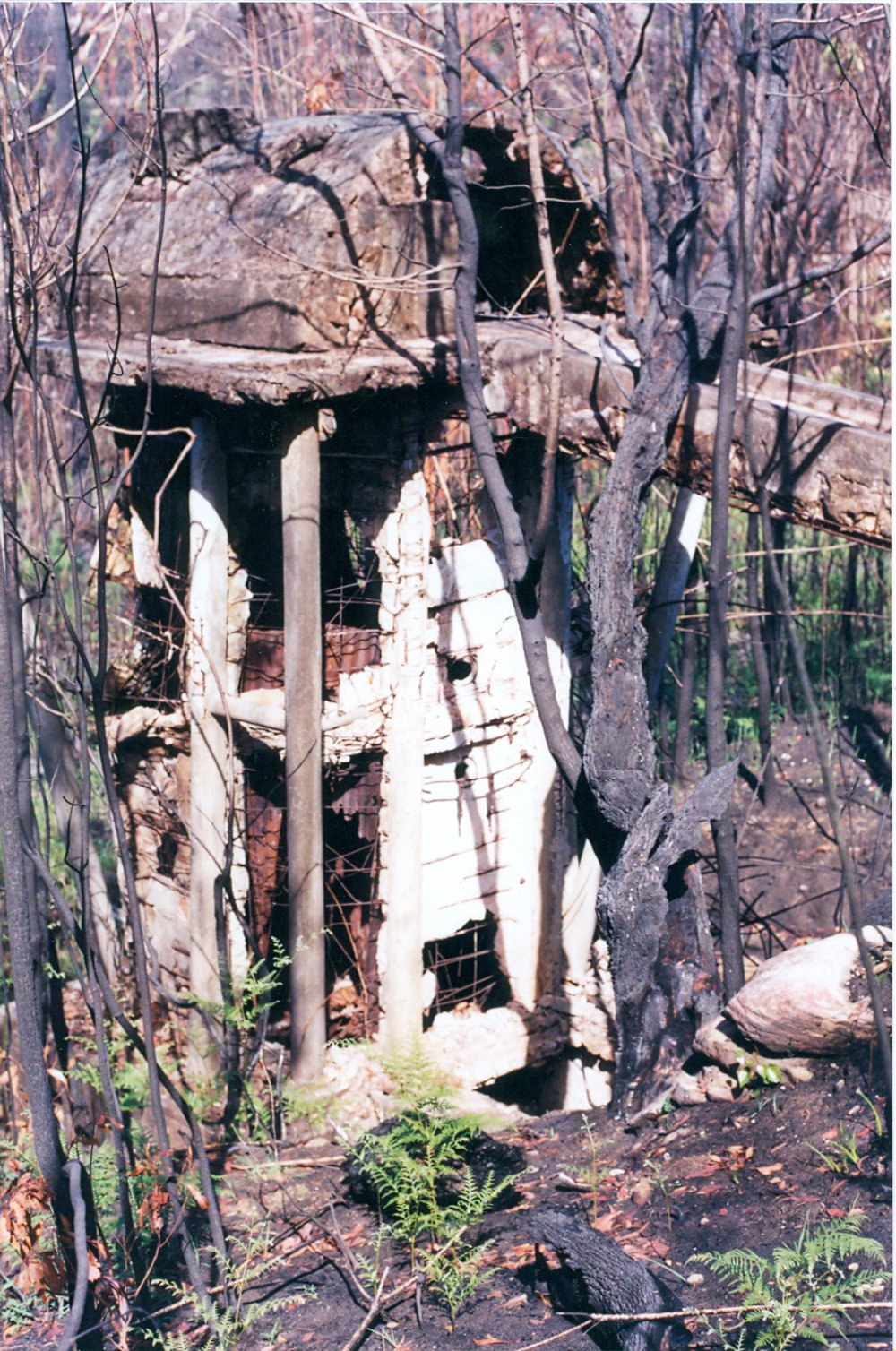 Remains of the Never Been Beaten Lime and Cement Works, Narrabeen