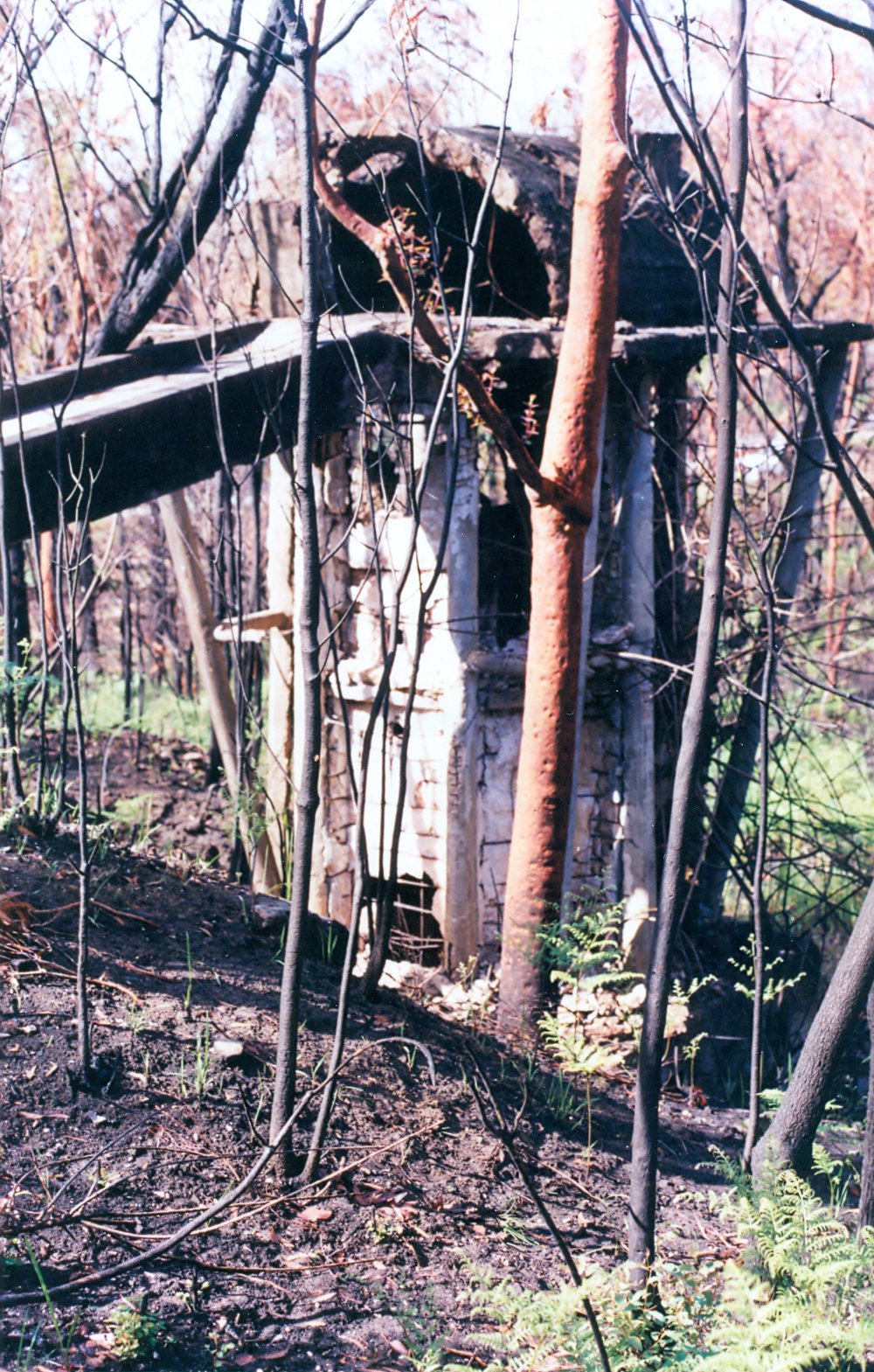 Remains of the Never Been Beaten Lime and Cement Works, Narrabeen