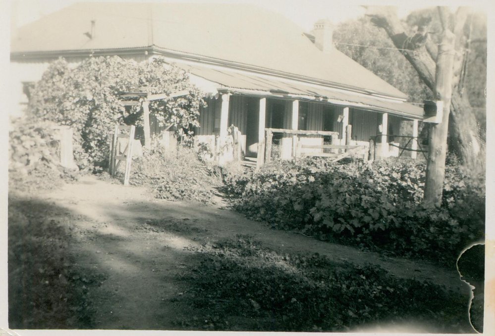 The Larkin Family home Ingleside, The Pines