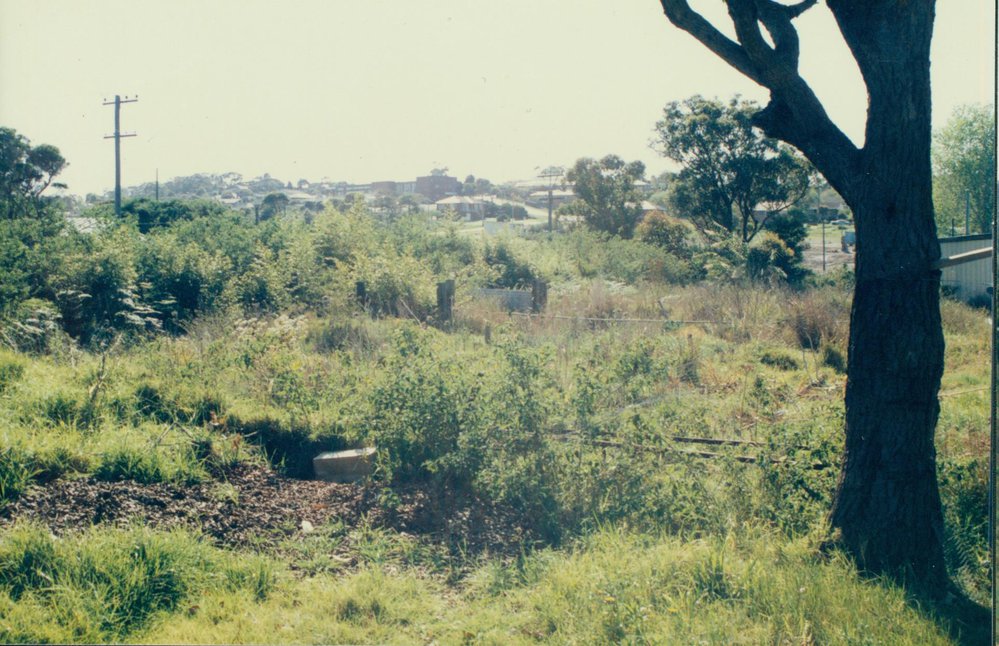 Warriewood Valley before Development