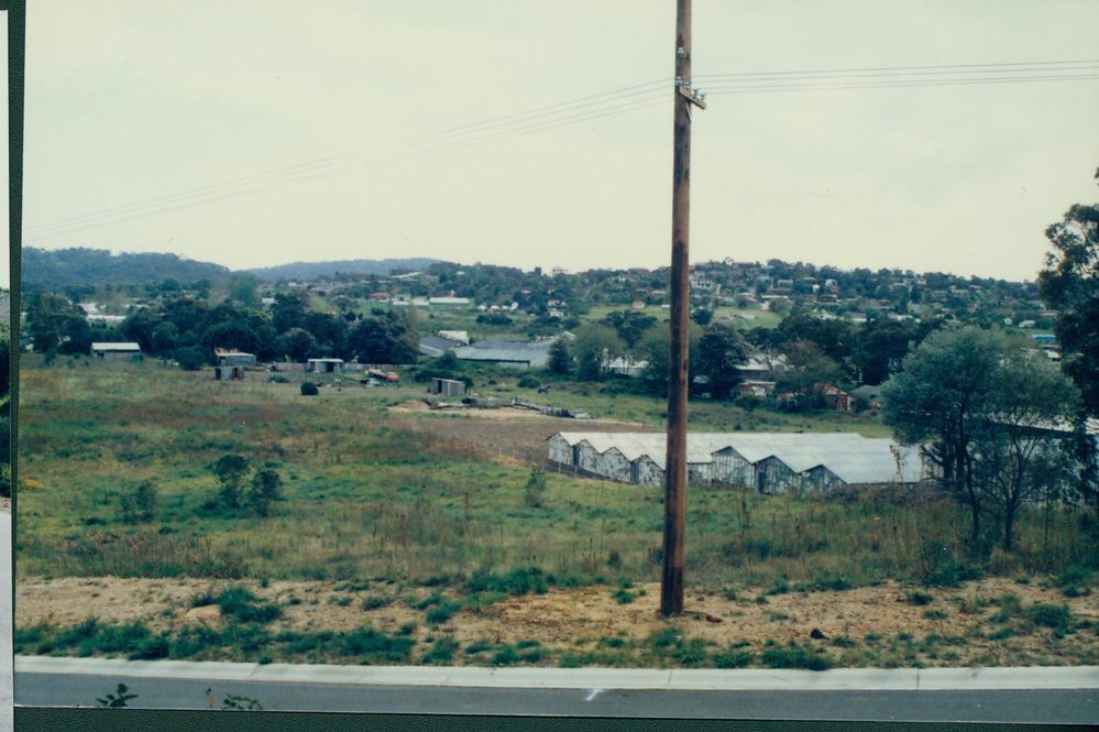 Warriewood Valley before Development