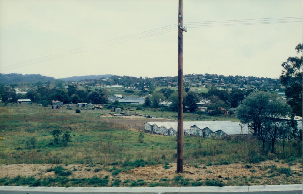 Warriewood Valley before Development