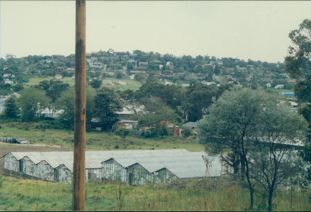 Warriewood Valley before Development