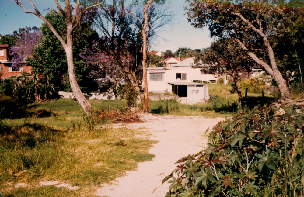 Wandella Reserve, Allambie