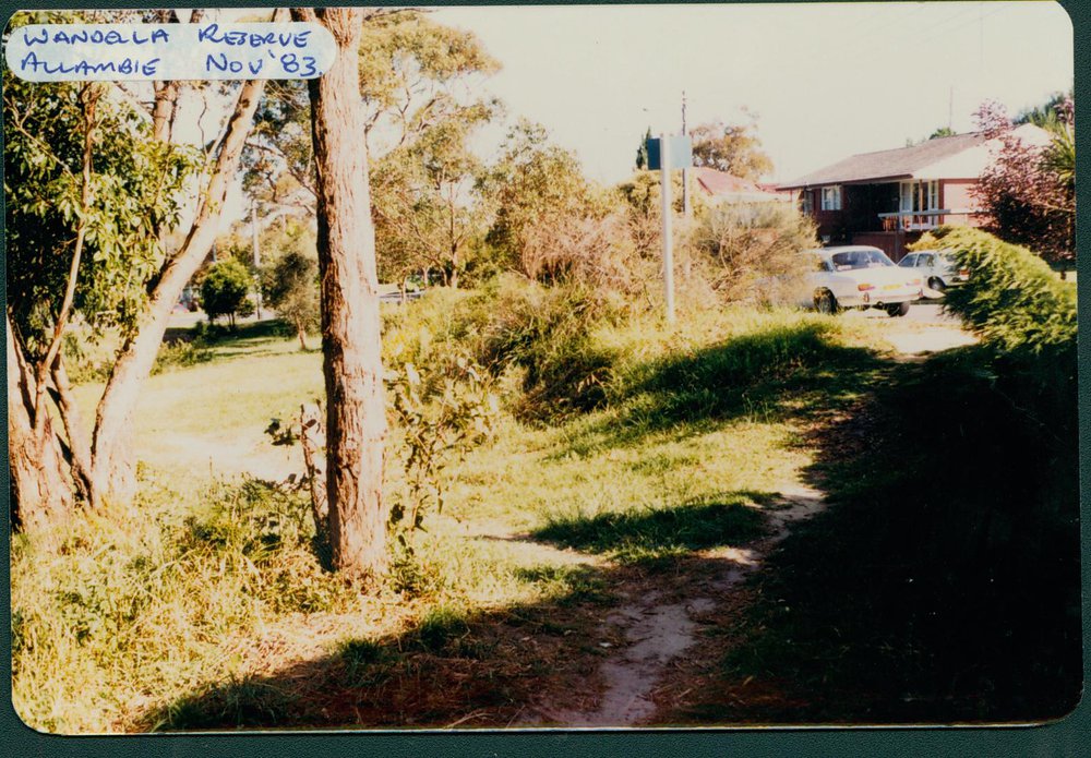 Wandella Reserve, Allambie