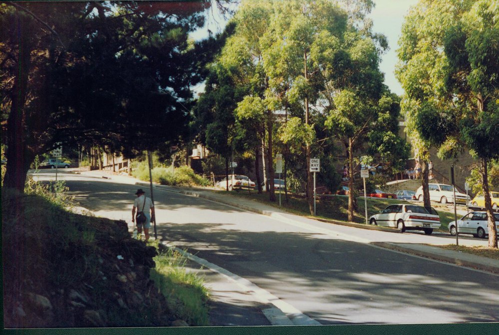 Dee Why Library 1992