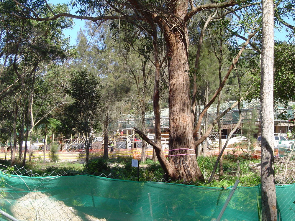 War Veterans Retirement Village extensions, Narrabeen