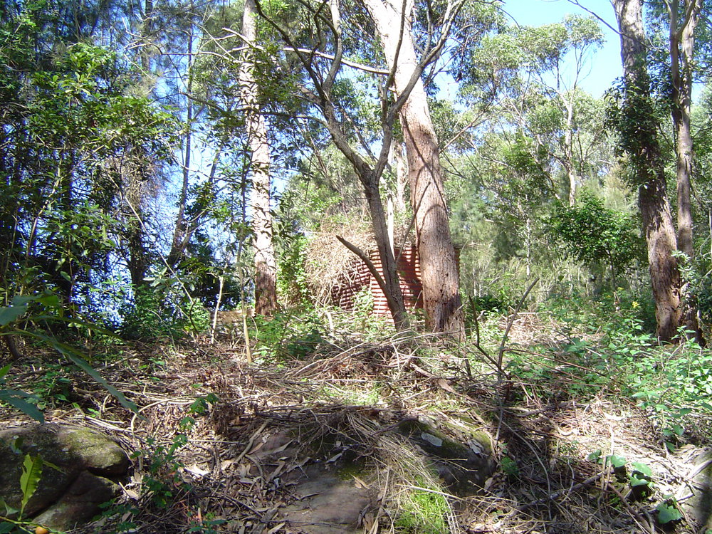 Remnant water tanks on the Old Wheeler property, Narrabeen Lagoon