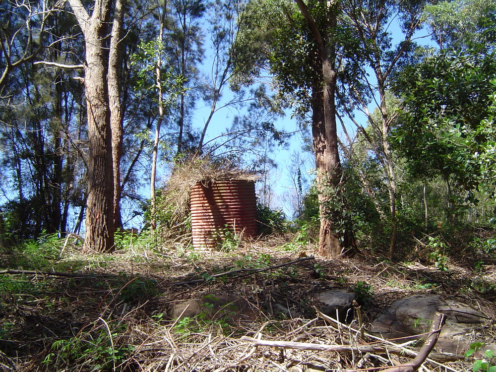 Remnants of the Old Wheeler farm, Narrabeen Lagoon