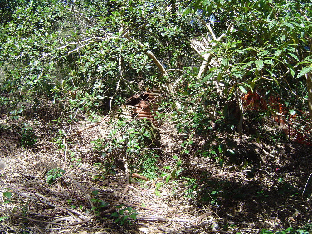 Old Wheeler property on Narrabeen Lagoon