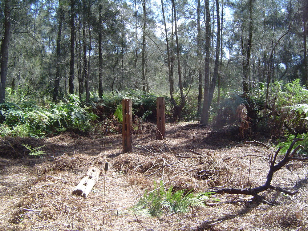 Remnant fence posts from old Wheeler property Narrabeen Lagoon