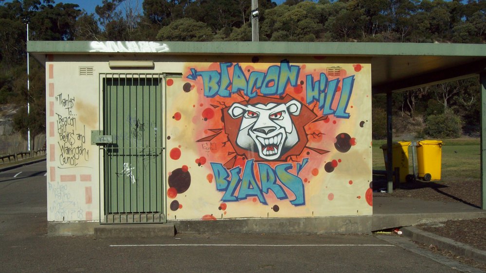 Beacon Hill Bears Graffiti, Beacon Hill Reserve