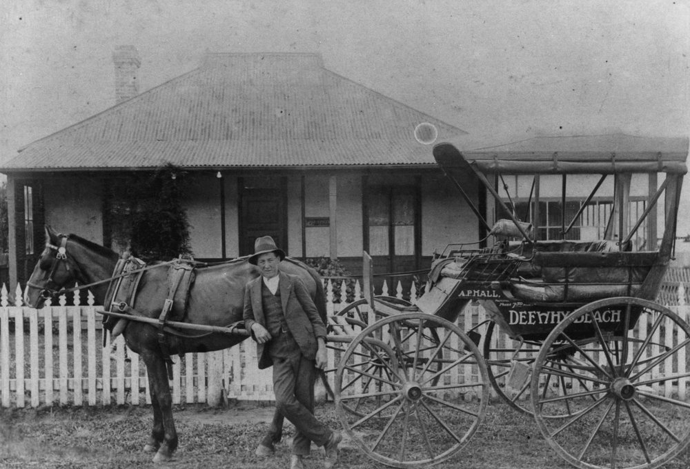 A.P.Hall horse and carriage taxi service between Manly and Dee Why Beach