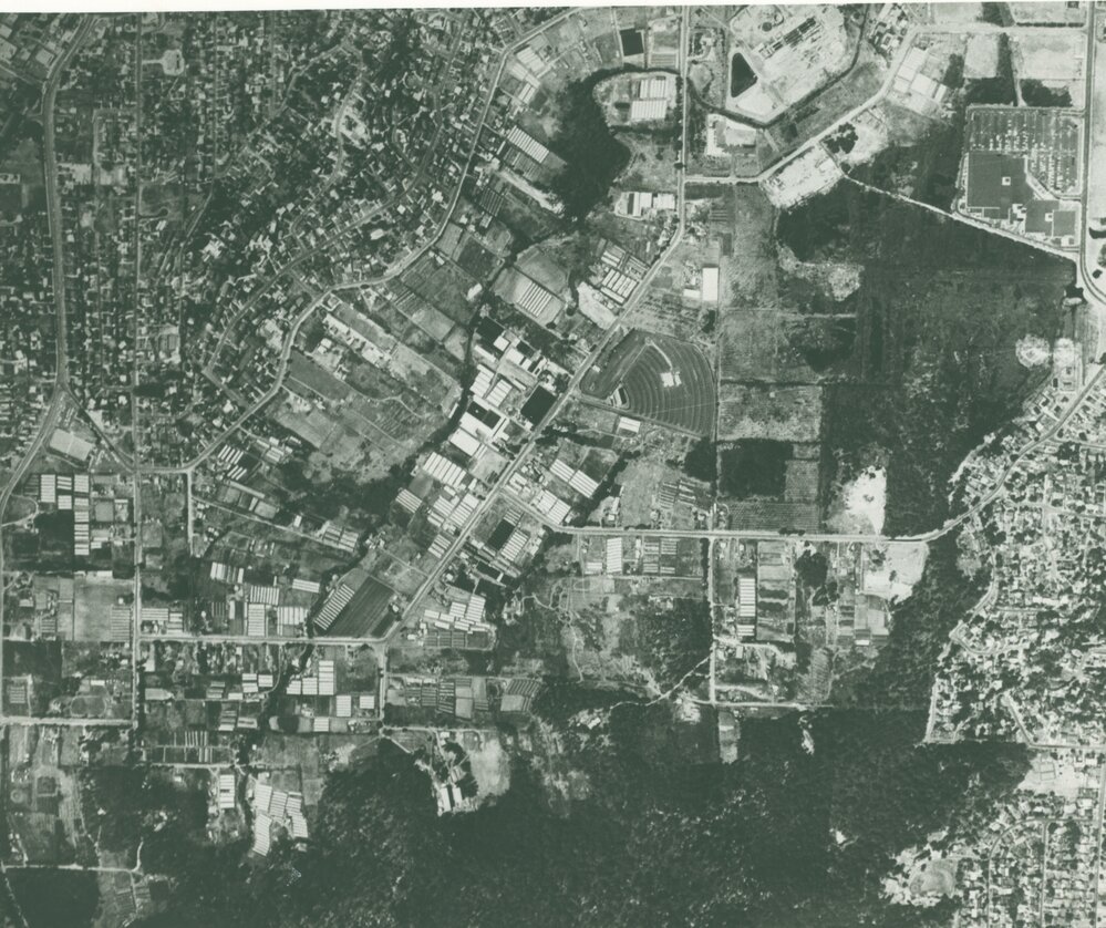 Aerial View of Warriewood Valley