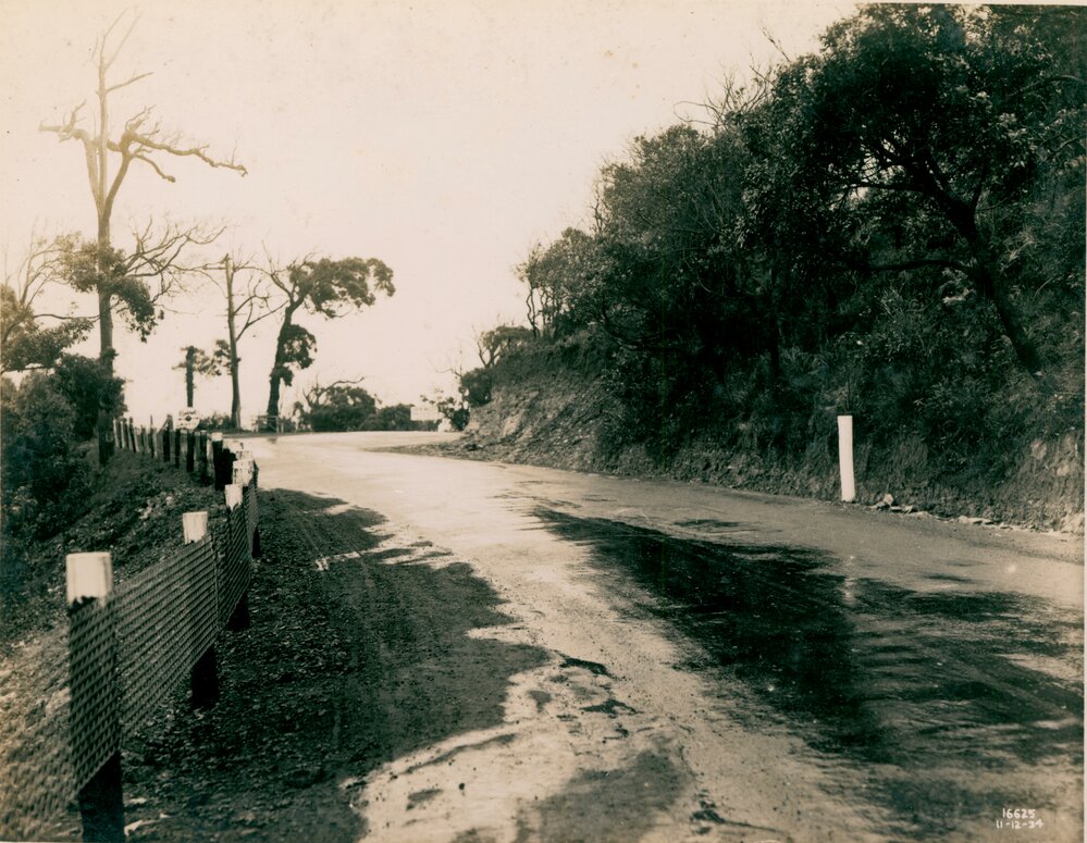 Barrenjoey Road Newport