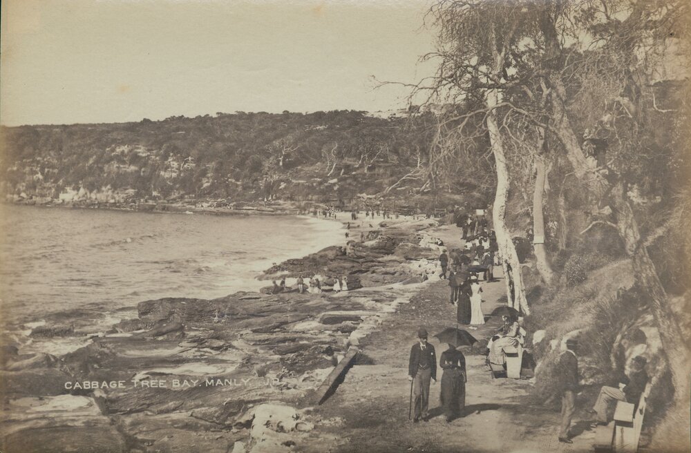 View along Fairy Bower walkway towards Shelly Beach