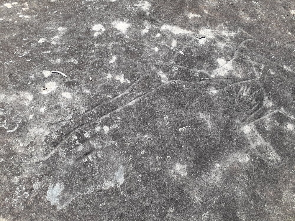 Aboriginal Rock Carving, Moon Rock, Garigal National Park