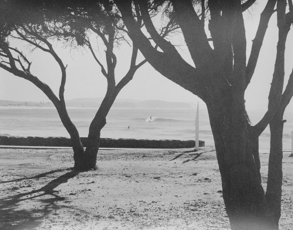 Surfers at Collaroy Beach