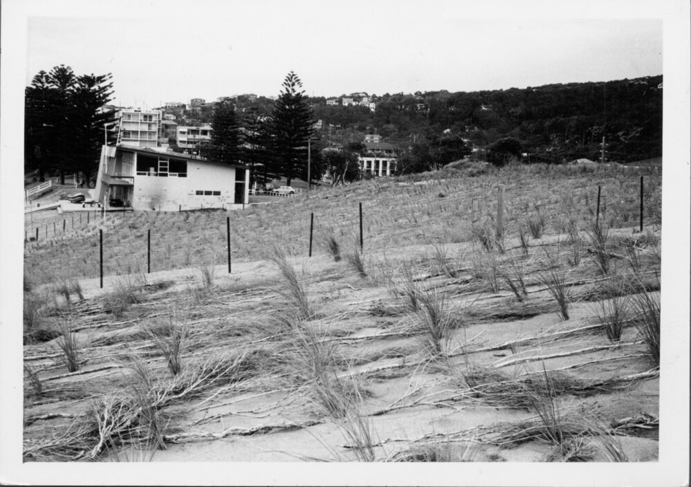 Avalon Beach Sand Dunes and Surf Life Saving Club