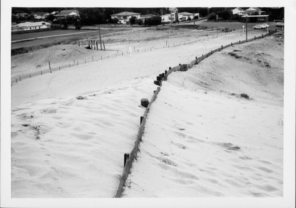 Avalon Beach Sand Dunes