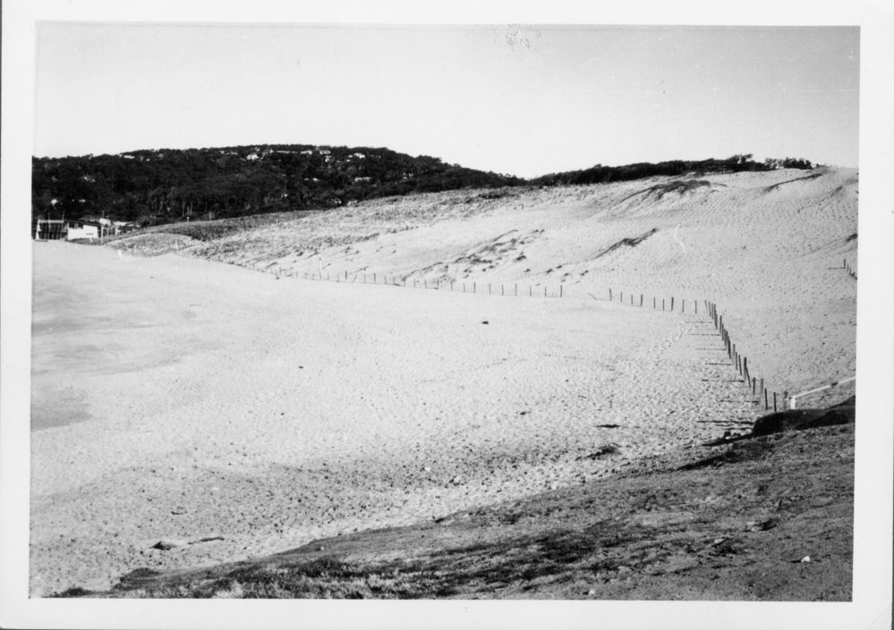 Avalon Beach Sand Dunes