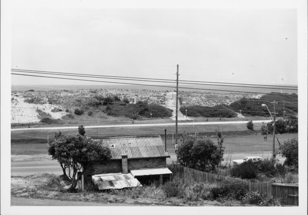 Avalon Beach Sand Dunes