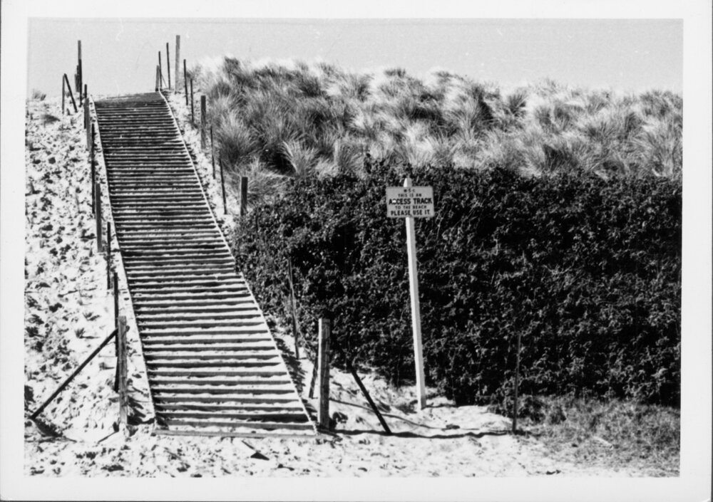 Avalon Beach Sand Dunes